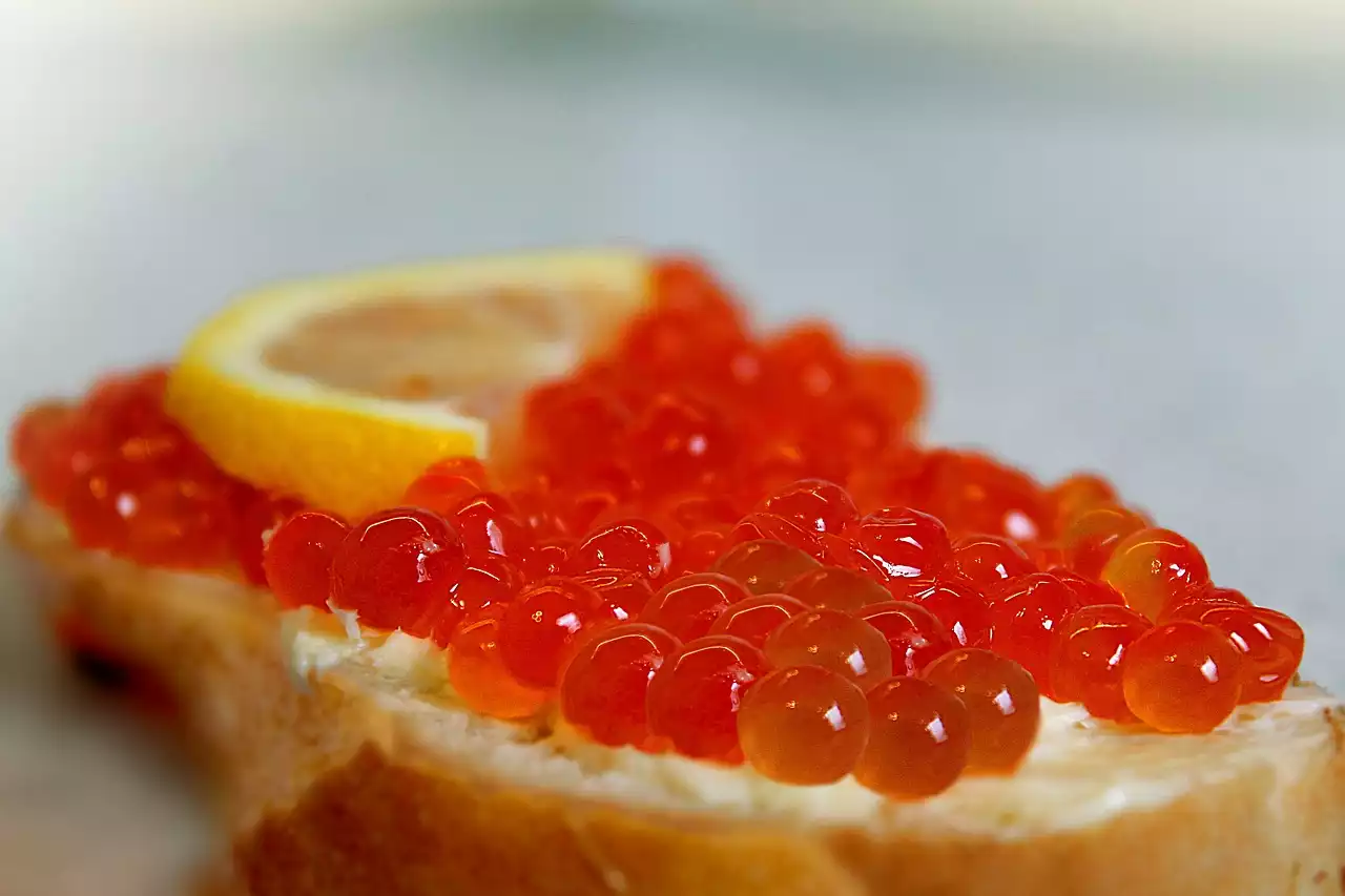 איך אוכל צרפתי הגיע להיות הסטנדרט של גורמה?